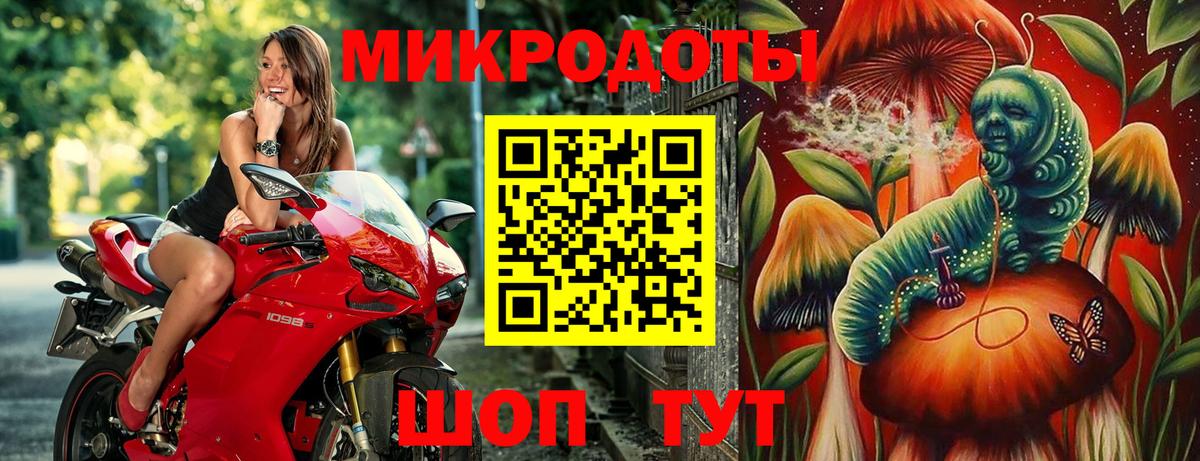 Шебекино  Галлюциногенные грибы Cubensis  Вход с VPN 